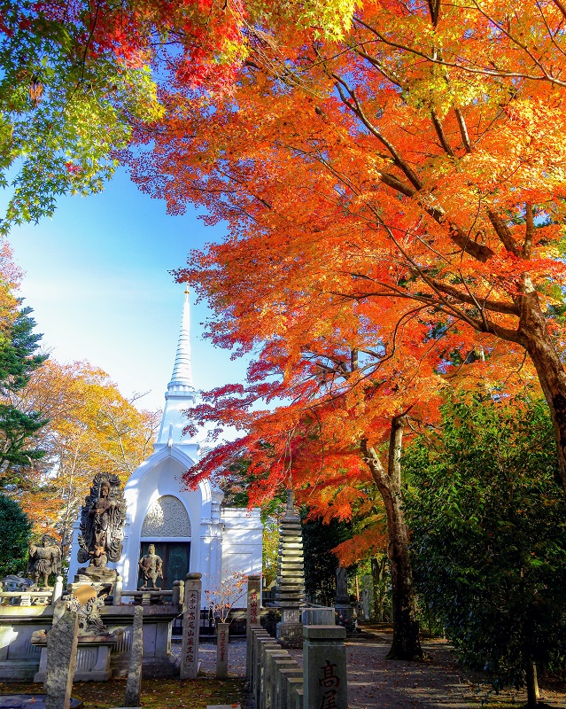 高尾山紅葉情報 境内もみじ便り 心のふるさと 祈りのお山 高尾山薬王院