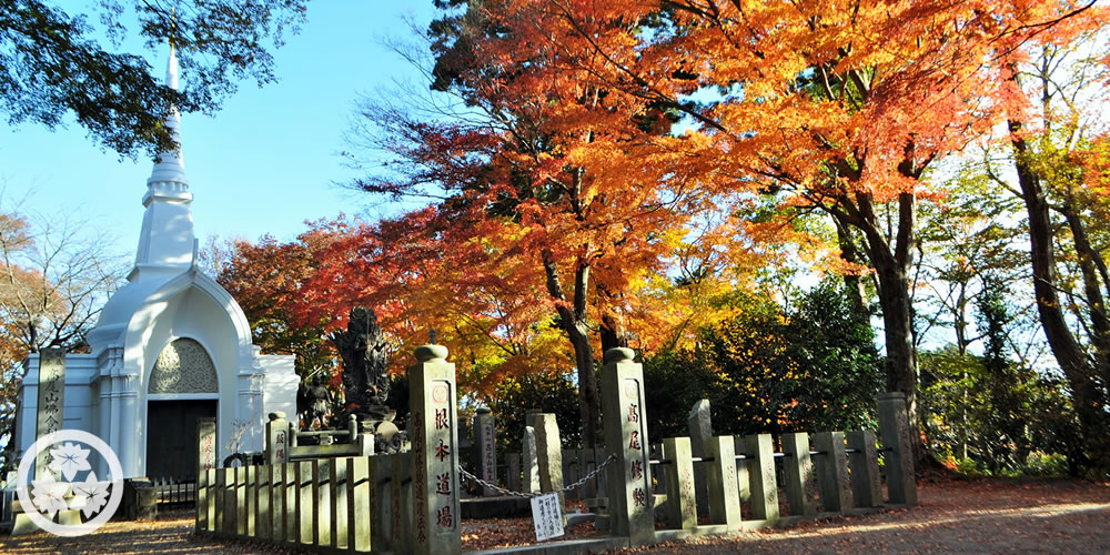 紅葉