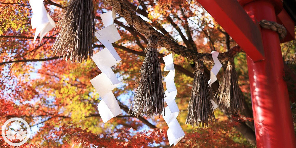 11月-本社鳥居と紅葉